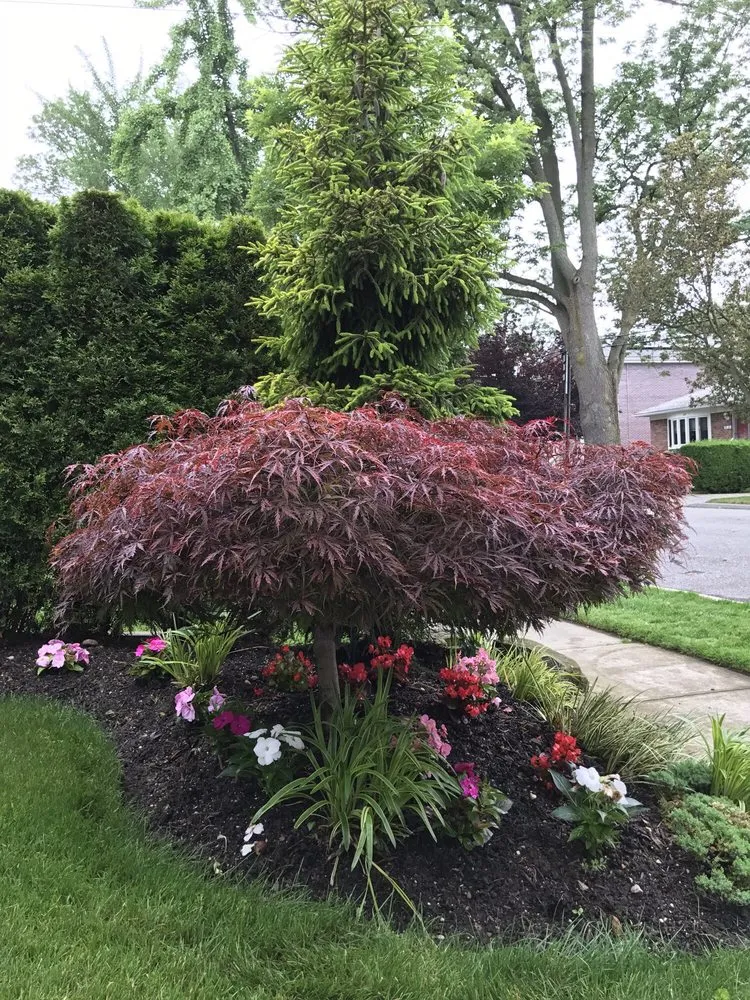 Professional yard maintenance for year-round maintenance in Flushing, NY by JR Landscape of New York