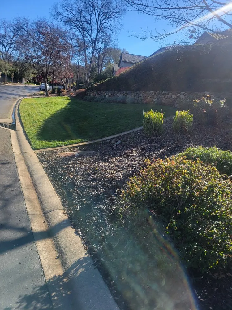 Affordable landscaping services near you across Roseville, CA - J&R landscape