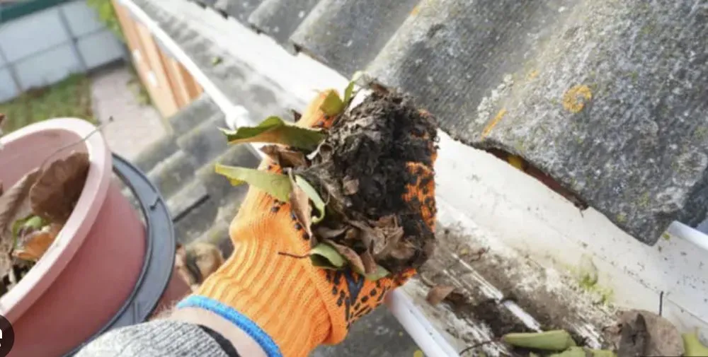 Reliable yard maintenance experts serving Roseville, CA - J&R landscape