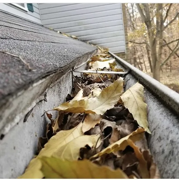 Trusted yard cleanup service for beautiful yards in Roseville, CA by J&R landscape