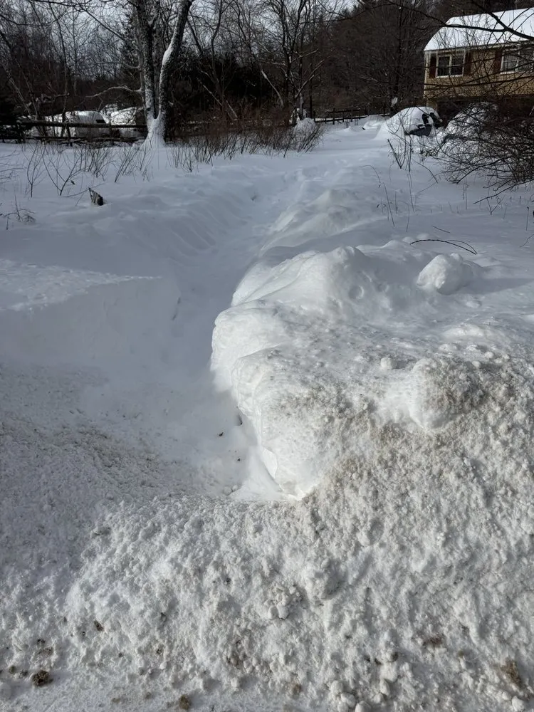 Top-rated yard cleanup service near you across Sandown, NH - Jr Landscape