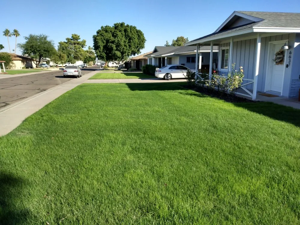 Local residential landscaping in Peoria, AZ by JR landscape services