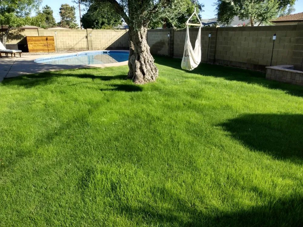 Reliable landscape design near you in Peoria, AZ by JR landscape services