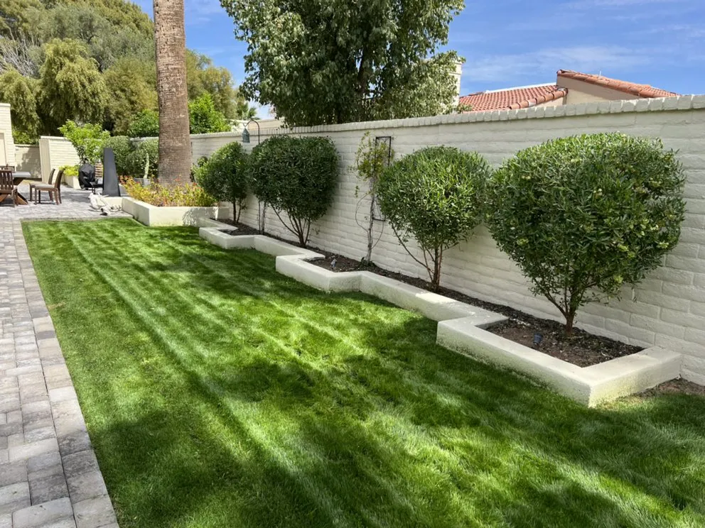 Top-rated yard maintenance in Peoria, AZ by JR landscape services