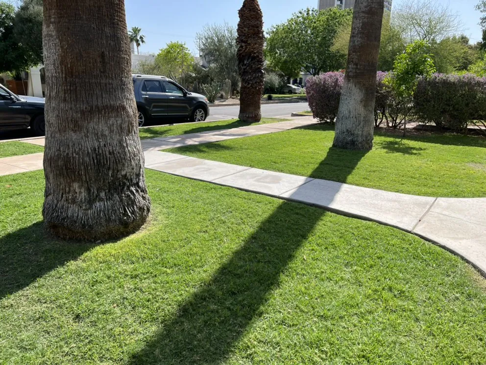 Trusted garden landscaping with custom design across Peoria, AZ - JR landscape services