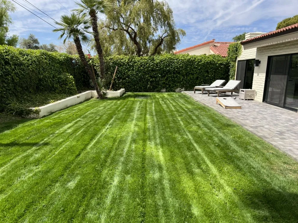 Trusted lawn mowing service for residential properties across Peoria, AZ - JR landscape services
