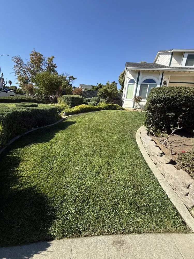 Top-rated residential landscaping for year-round maintenance in Vallejo, CA by Jr Landscape