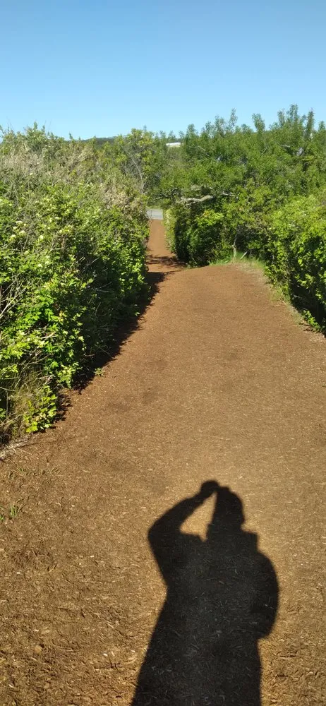 Local yard maintenance experts serving Brewster, MA - JR Landscaping & Construction Repair