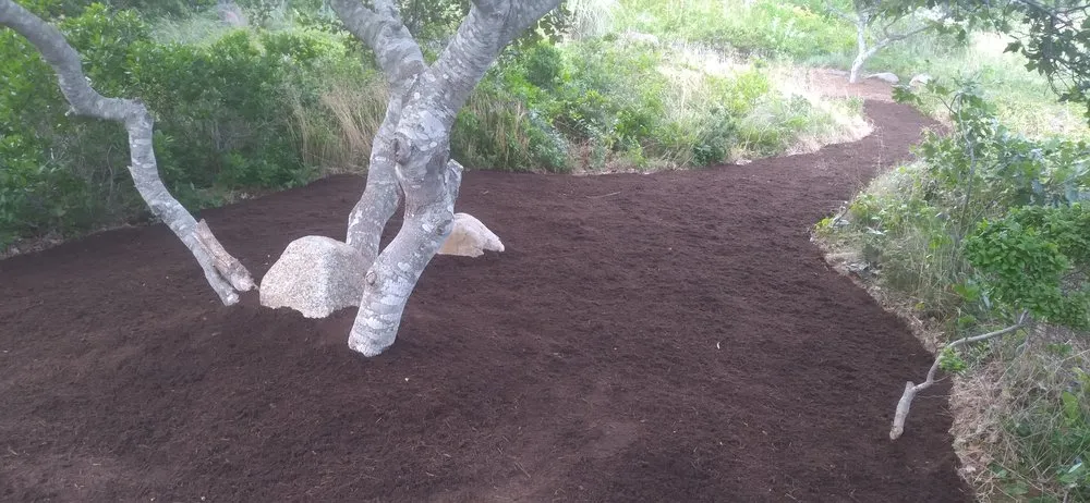 Reliable residential landscaping with custom design across Brewster, MA - JR Landscaping & Construction Repair