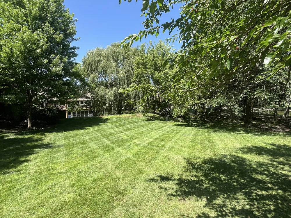 Reliable yard maintenance for outdoor upgrades in Wichita, KS by Jr Landscaping & Lawn Service