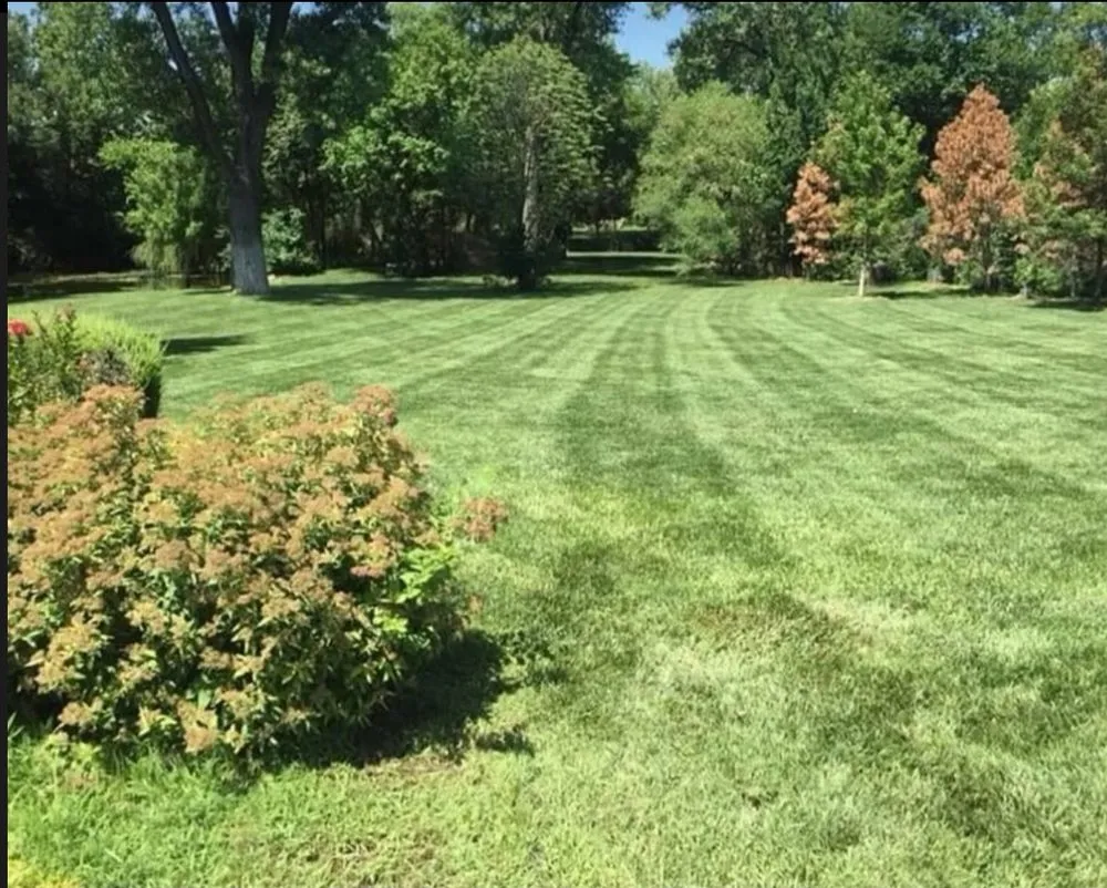 Affordable landscape design in Wichita, KS by Jr Landscaping & Lawn Service