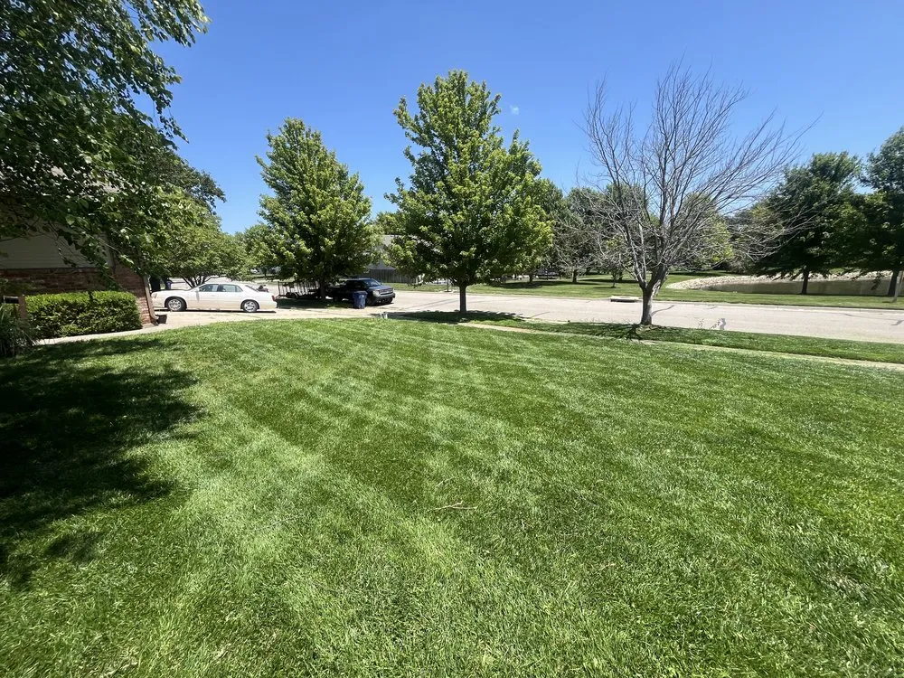 Affordable yard cleanup service in Wichita, KS by Jr Landscaping & Lawn Service