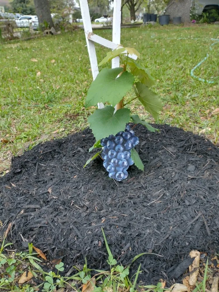 Top-rated residential landscaping in Houston, TX - J&R Landscaping and Construction