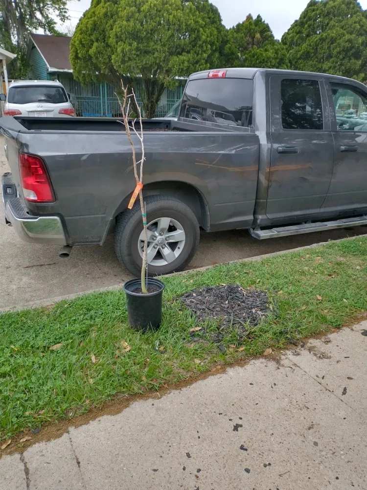 Trusted lawn mowing service for residential properties in Houston, TX by J&R Landscaping and Construction