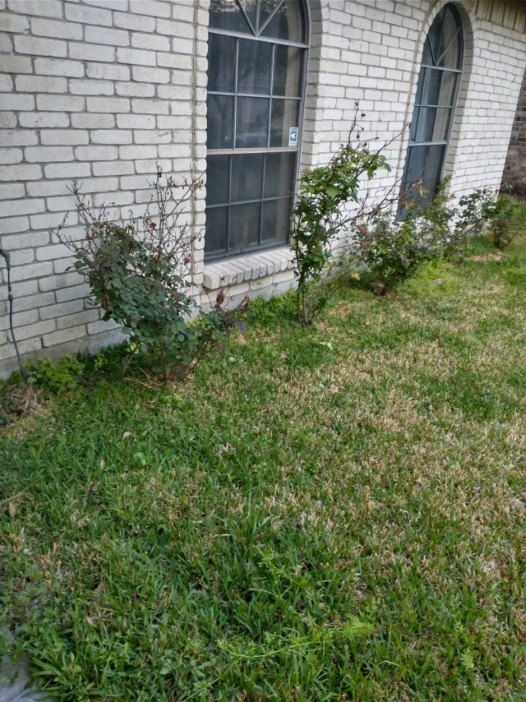 Affordable yard cleanup service for beautiful yards across Houston, TX - J&R Landscaping and Construction