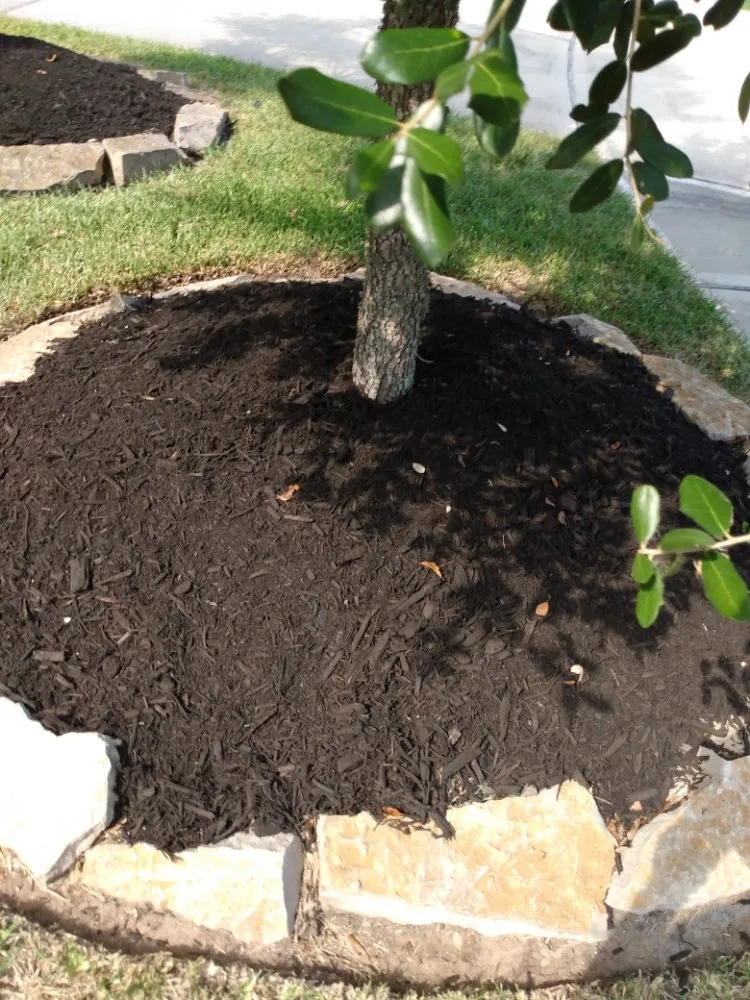 Top-rated landscape design in Houston, TX - J&R Landscaping and Construction