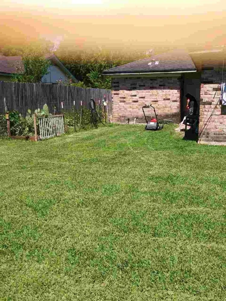 Local lawn care service for year-round maintenance across Houston, TX - J&R Landscaping and Construction