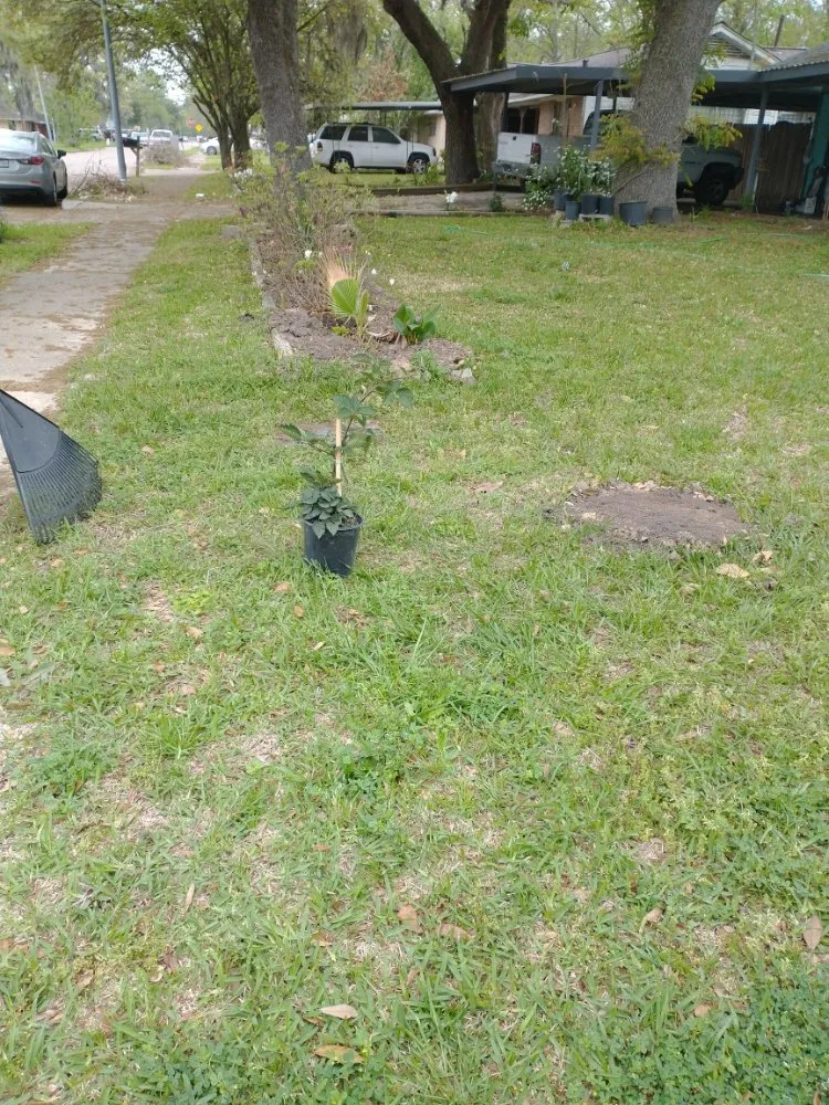 Custom yard cleanup service with custom design in Houston, TX by J&R Landscaping and Construction