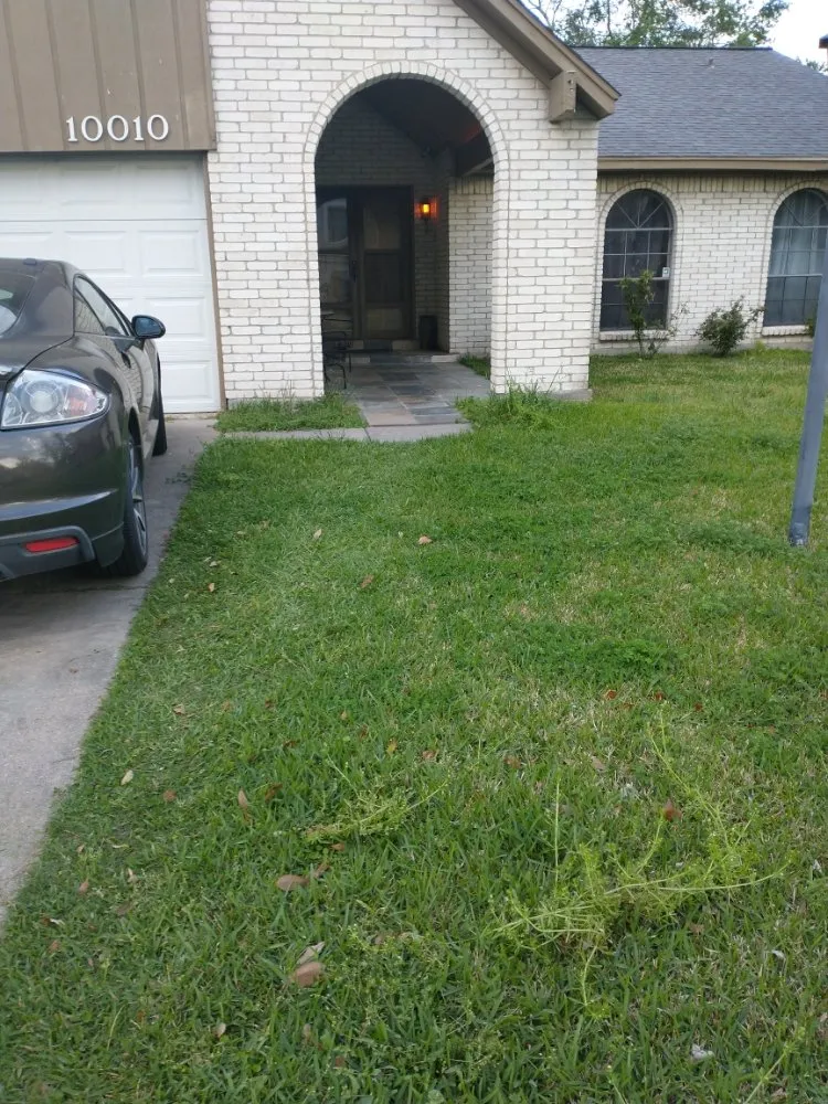 Reliable lawn care service for outdoor upgrades across Houston, TX - J&R Landscaping and Construction