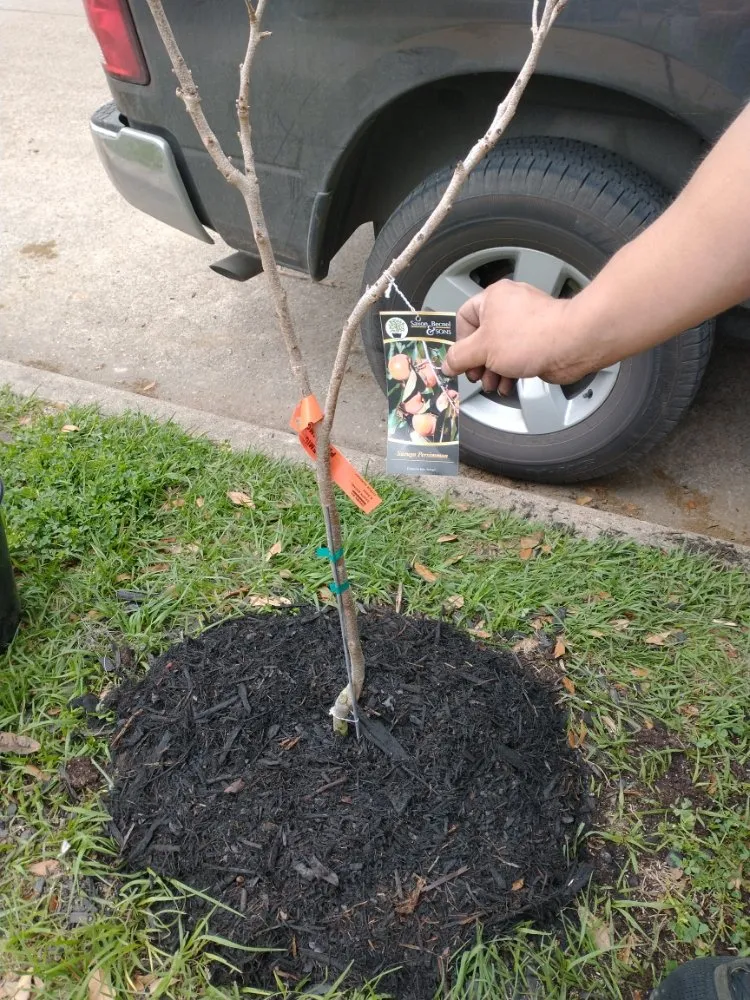 Professional landscaping services in Houston, TX - J&R Landscaping and Construction