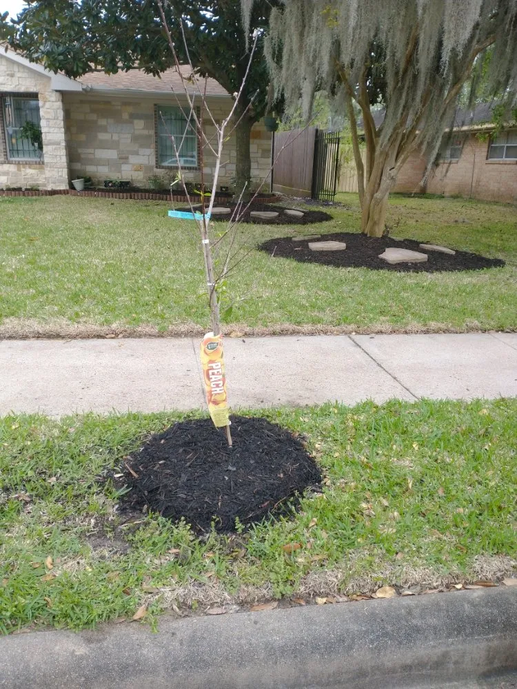 Expert landscape design for homes across Houston, TX - J&R Landscaping and Construction