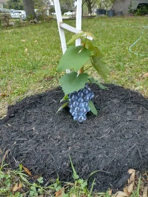 J&R Landscaping and Construction Logo