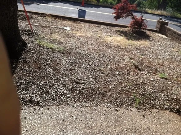 Trusted lawn care service with custom design in Palermo, CA by JR Landscaping And Lawn Services