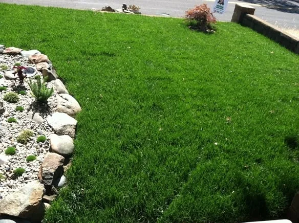 Affordable yard cleanup service experts serving Palermo, CA - JR Landscaping And Lawn Services