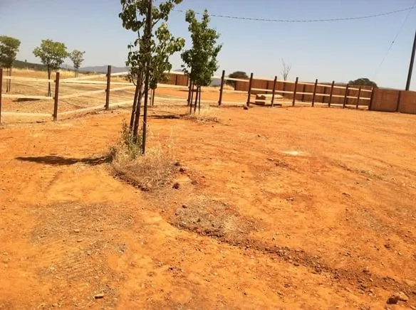 Custom lawn care service in Palermo, CA by JR Landscaping And Lawn Services