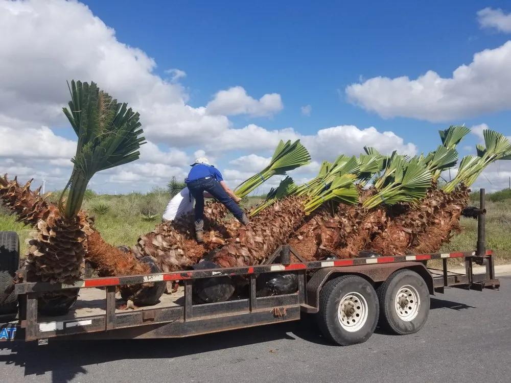 Top-rated outdoor landscaping in South Padre Island, TX - J&R Landscaping and Nursery