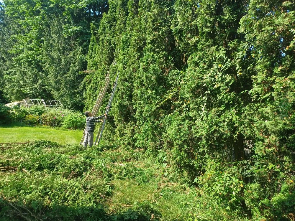 Custom landscape design experts serving Bremerton, WA - J&R Landscaping