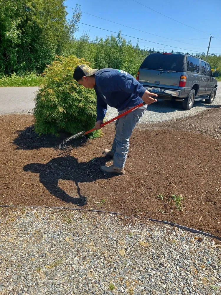 Trusted yard cleanup service experts serving Bremerton, WA - J&R Landscaping