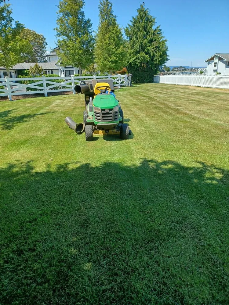 Local yard cleanup service in Bremerton, WA - J&R Landscaping