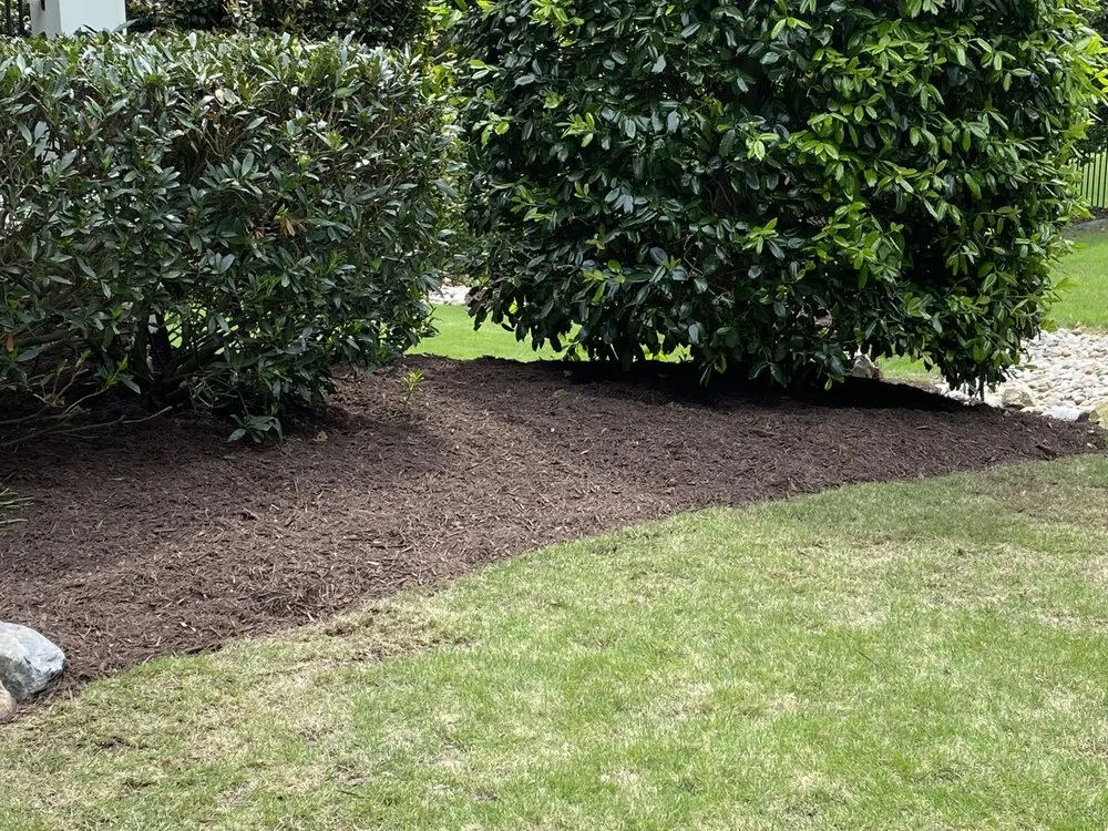 Professional outdoor landscaping for outdoor upgrades across Cary, NC - JR Landscaping