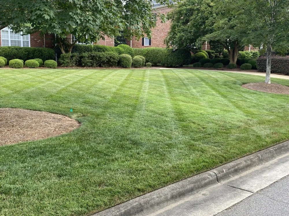 Affordable outdoor landscaping in Cary, NC by JR Landscaping