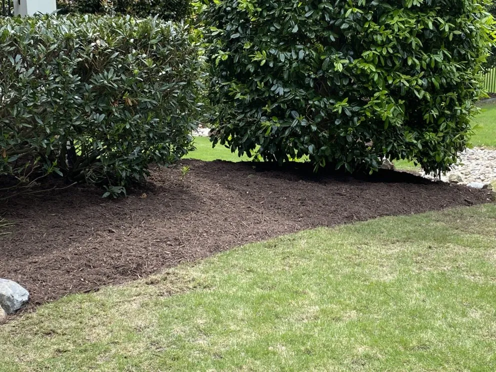 Top-rated garden landscaping experts serving Cary, NC - JR Landscaping