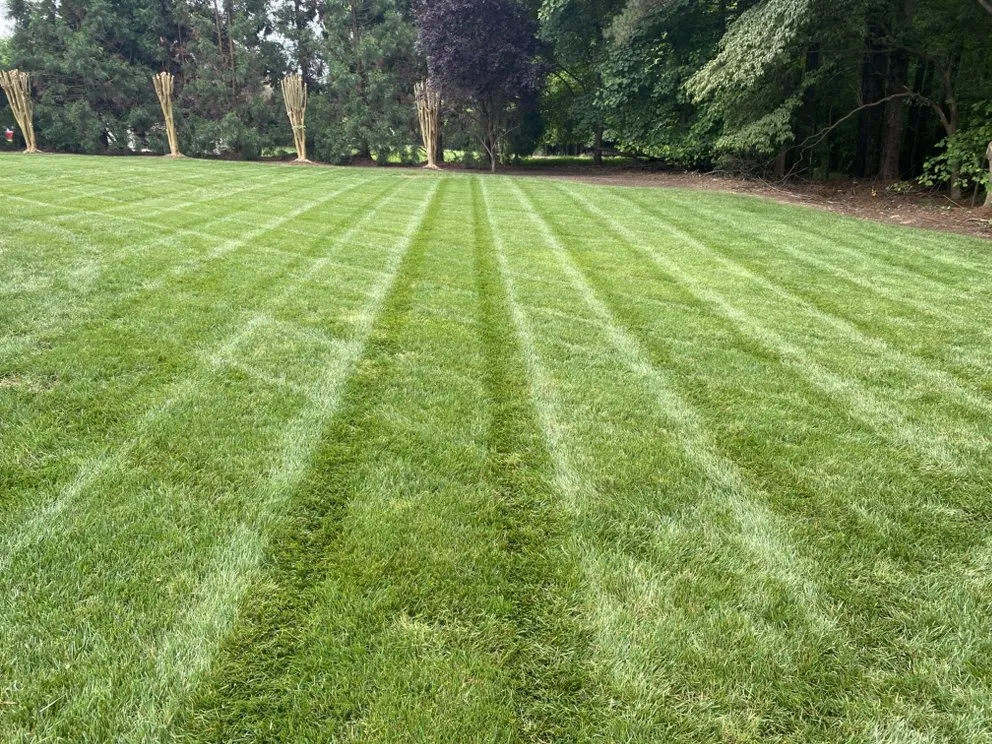 Custom yard cleanup service in Cary, NC - JR Landscaping