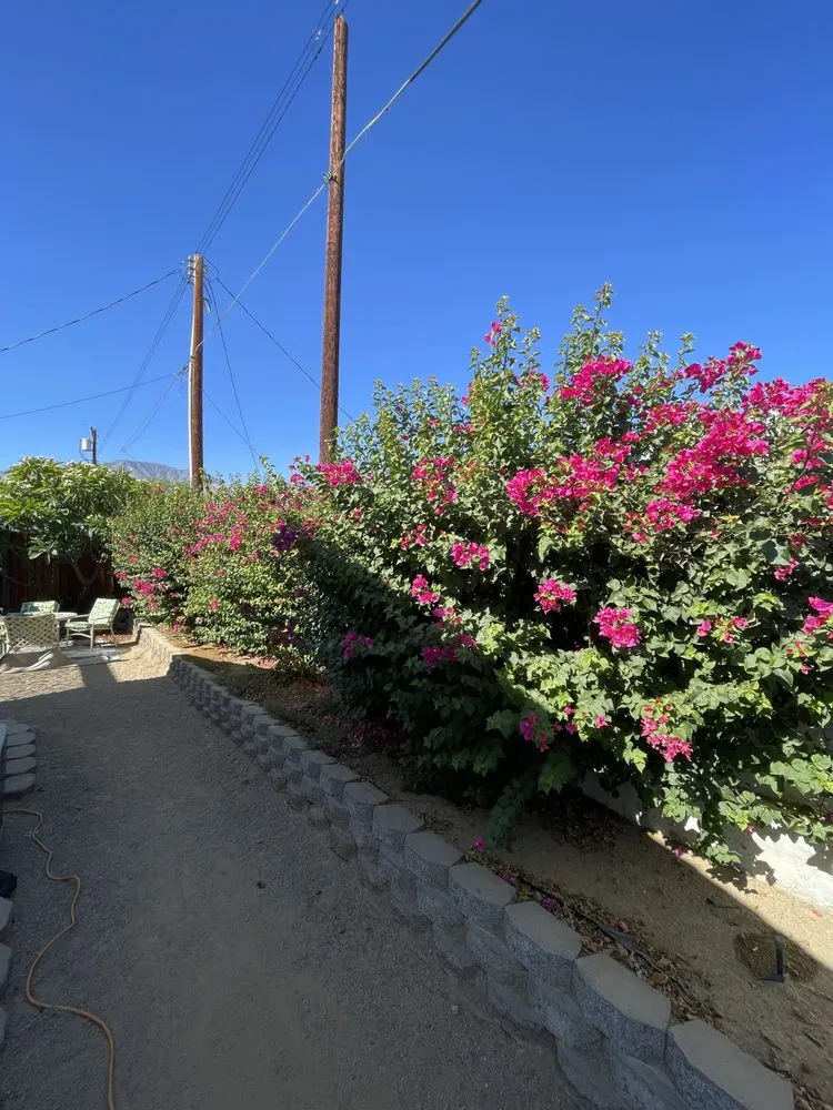 Local landscape installation in Coachella, CA - JR Landscaping