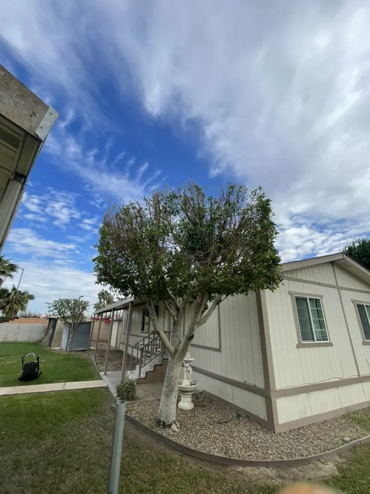 Reliable landscape design for year-round maintenance across Coachella, CA - JR Landscaping