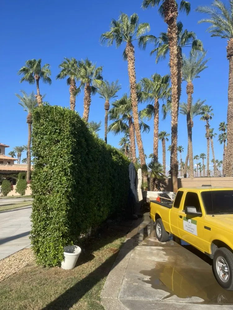 Trusted outdoor landscaping for beautiful yards across Coachella, CA - JR Landscaping