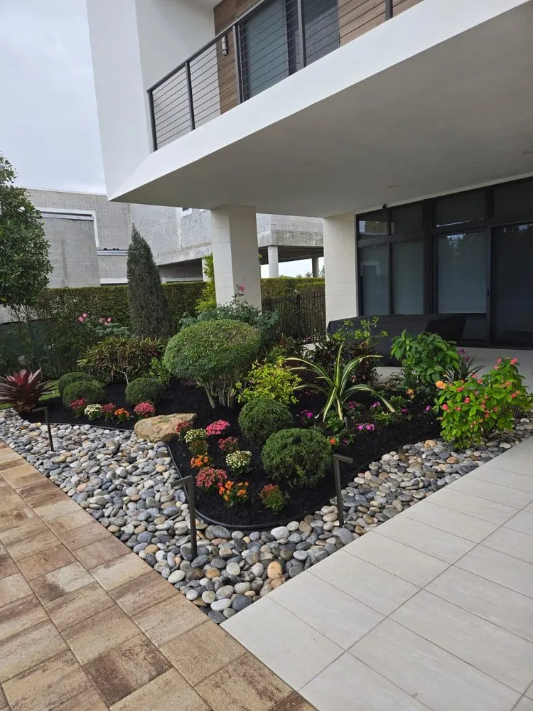 Trusted residential landscaping experts serving Davie, FL - Jr Landscaping