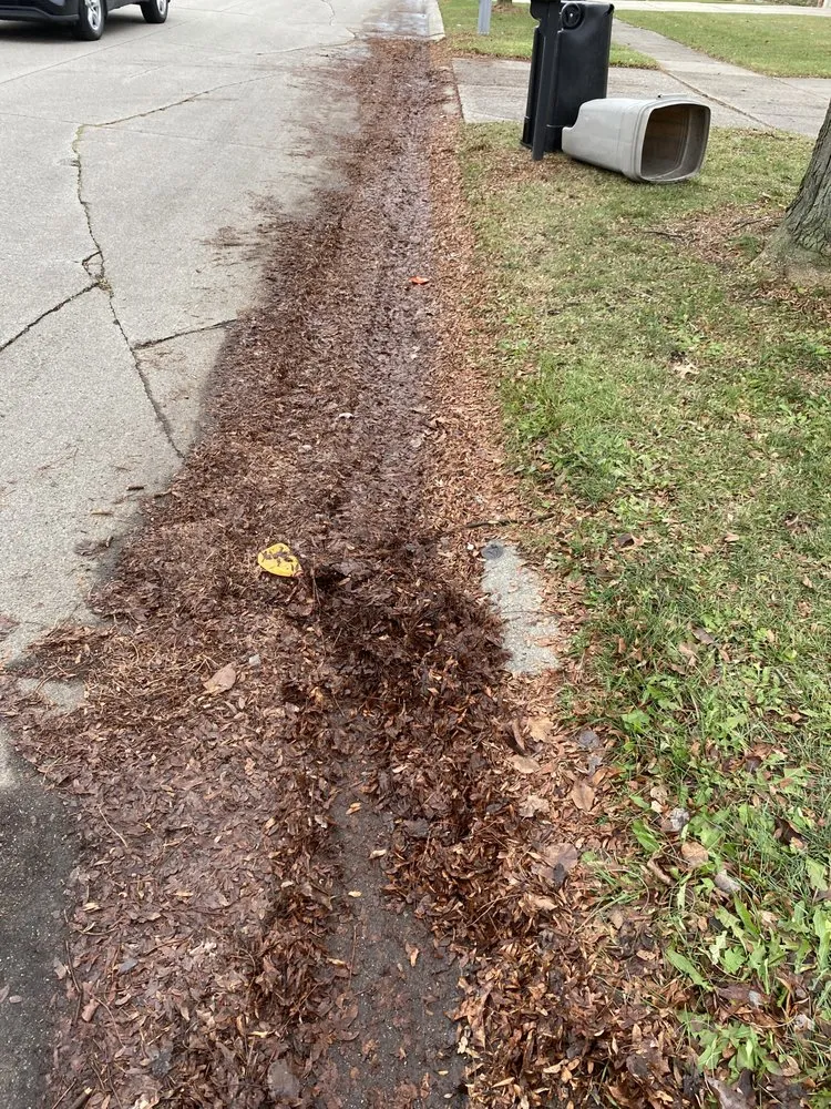 Expert garden landscaping for year-round maintenance across Dearborn, MI - J&R Landscaping