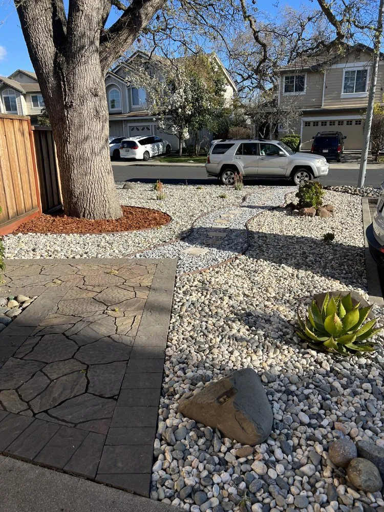 Reliable yard cleanup service for homes in El Sobrante, CA by JR Landscaping