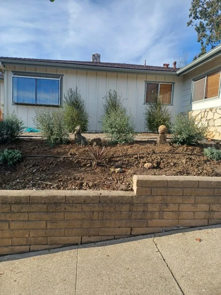 Professional residential landscaping in San Luis Obispo, CA - Jr Landscaping Gardening
