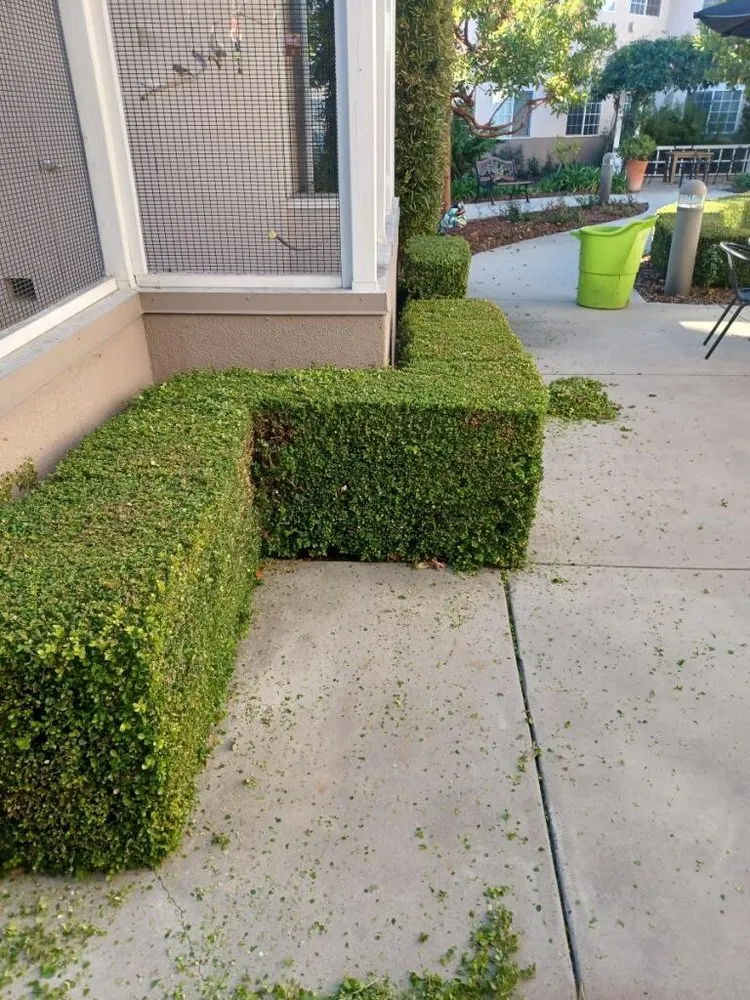 Top-rated yard maintenance for outdoor upgrades across San Luis Obispo, CA - Jr Landscaping Gardening