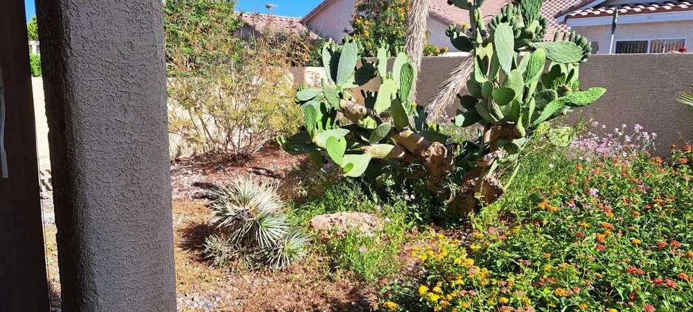 Expert garden landscaping in Las Vegas, NV - JR Landscaping