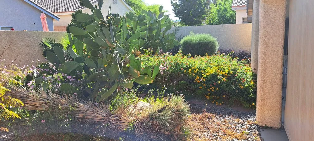 Expert landscaping services in Las Vegas, NV by JR Landscaping