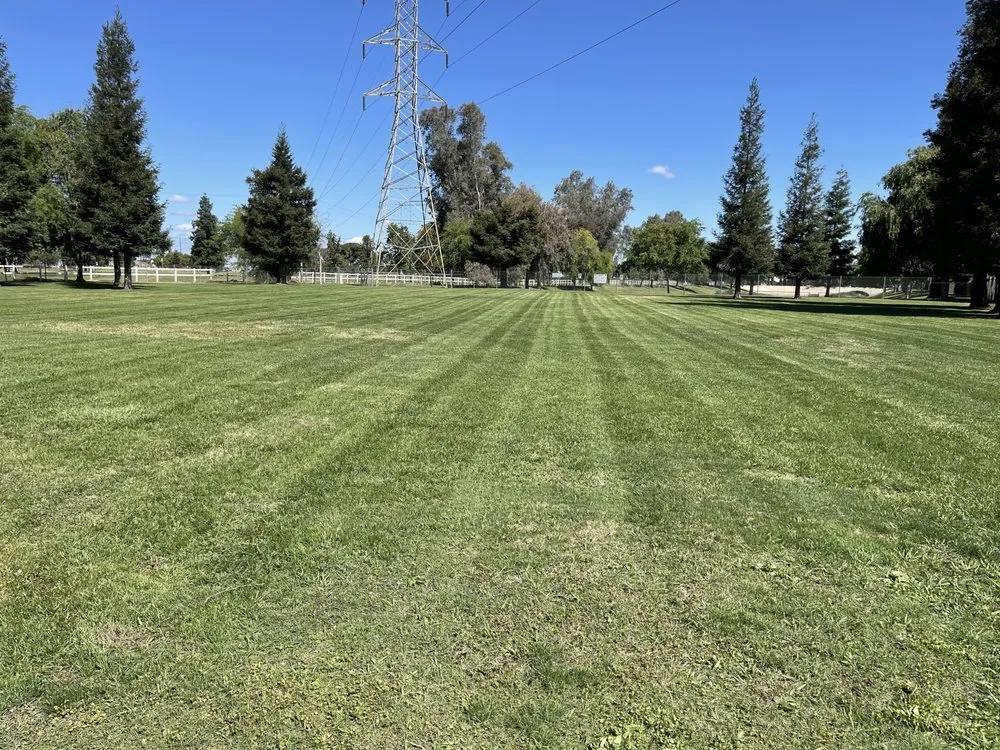 Top-rated landscape design for beautiful yards across Fresno, CA - Jr Landscaping Maintenance