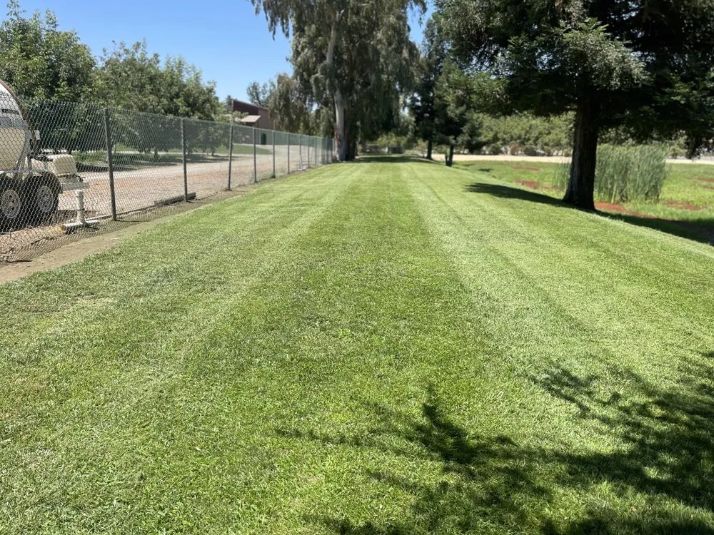 Local yard maintenance in Fresno, CA by Jr Landscaping Maintenance