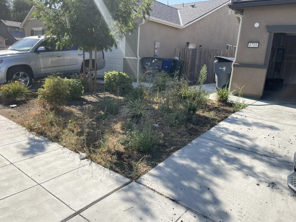 Professional lawn mowing service with custom design across Fresno, CA - Jr Landscaping Maintenance